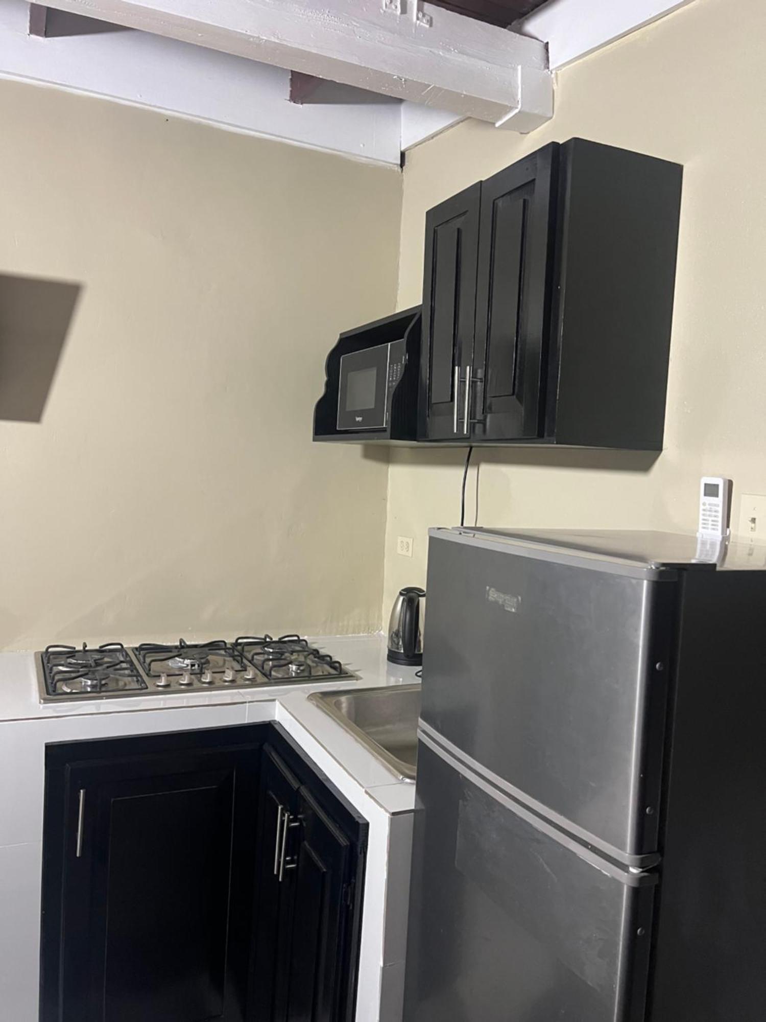 Cozy Apartment Κίνγκστον Εξωτερικό φωτογραφία
