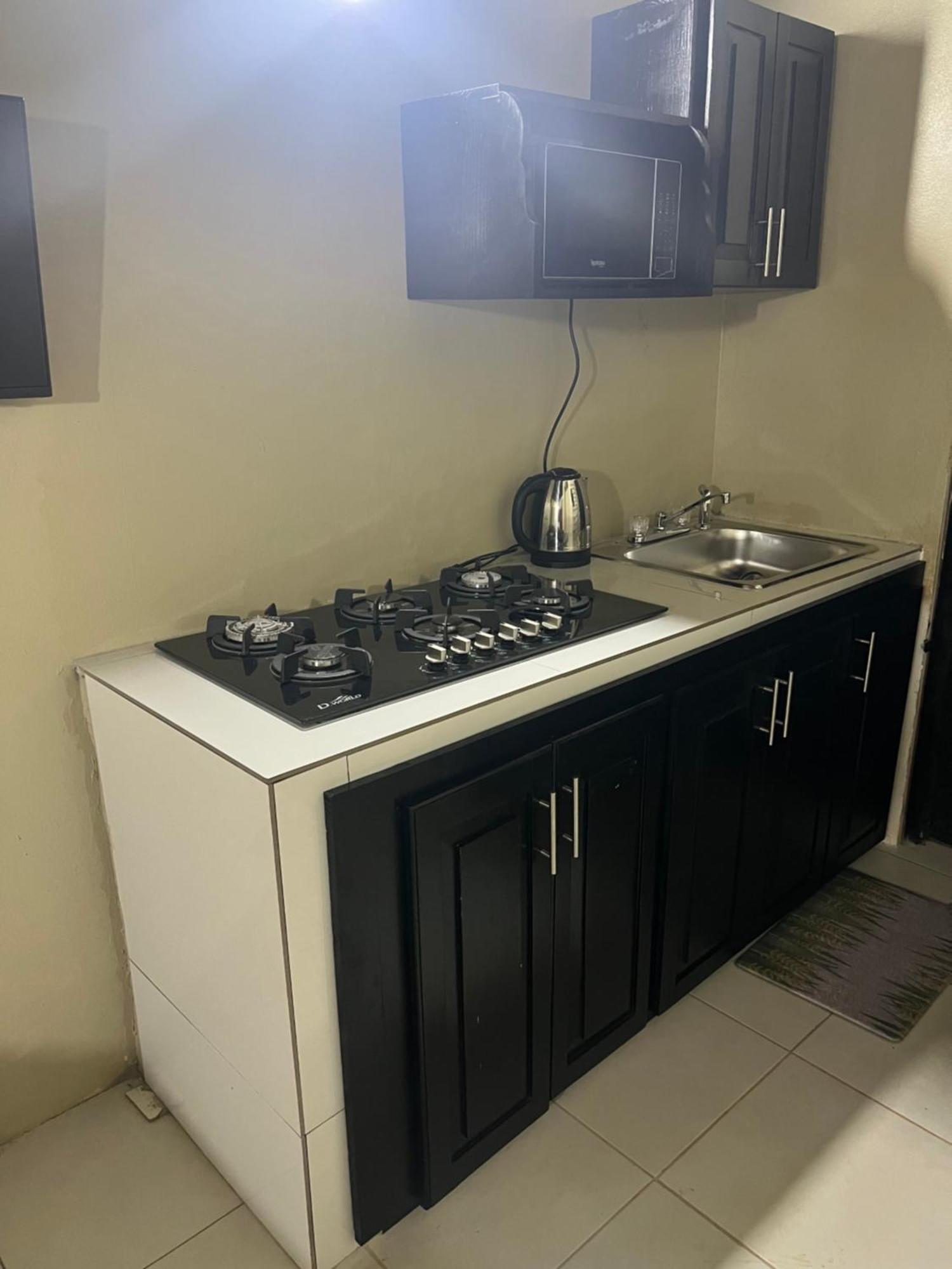 Cozy Apartment Κίνγκστον Εξωτερικό φωτογραφία