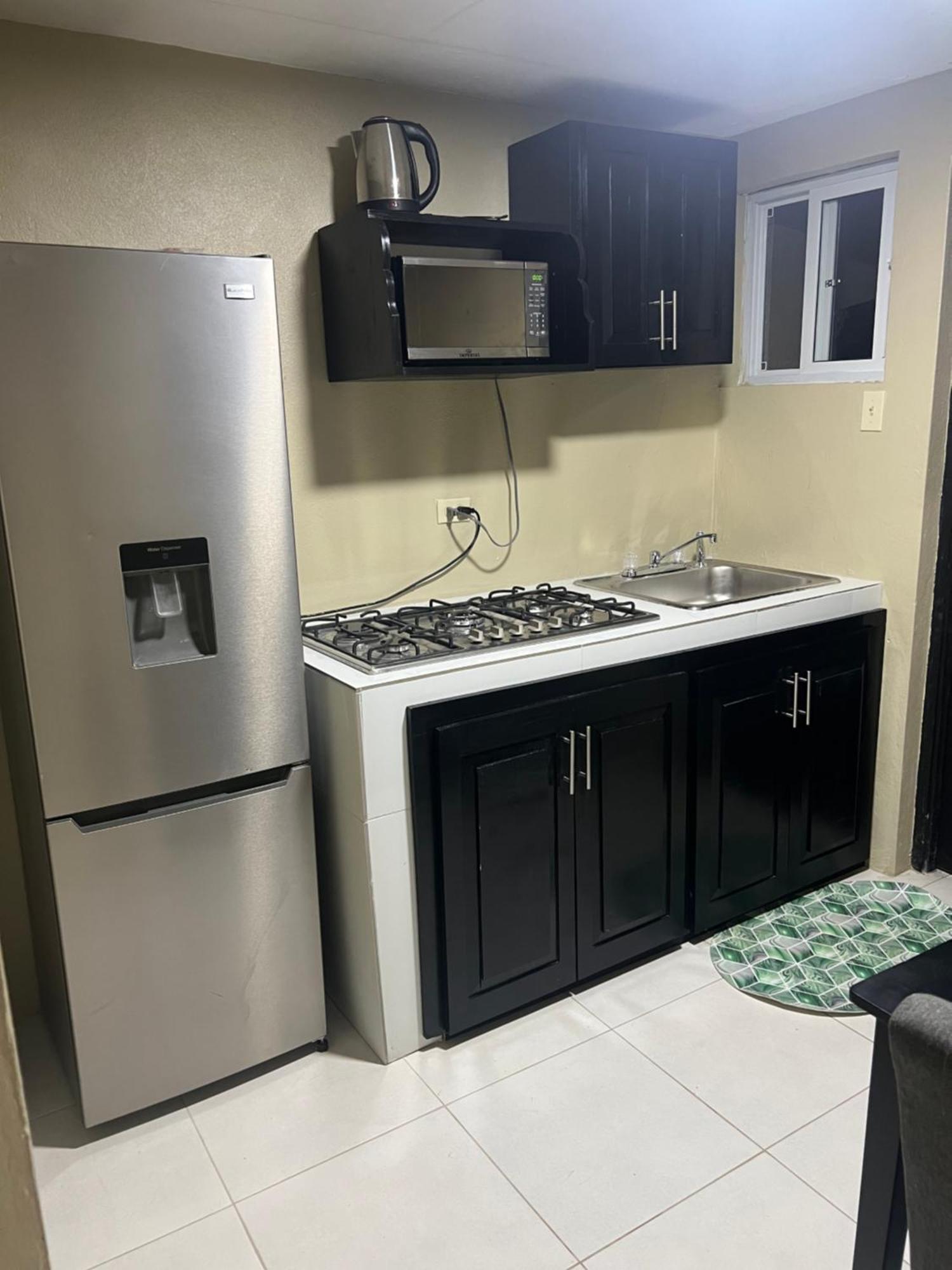 Cozy Apartment Κίνγκστον Εξωτερικό φωτογραφία